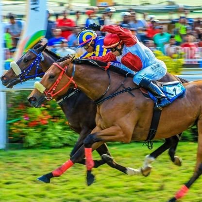 Professional Jockey 🇿🇦