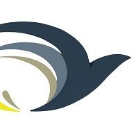 Make the Invisible Visible (@closersconstant) 's Twitter Profile
