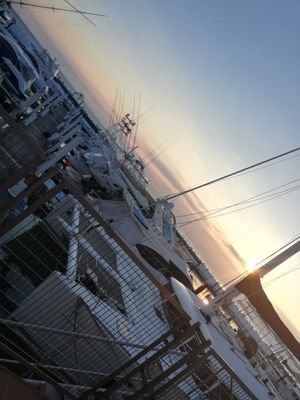 Xert5sidnJVFXnU's profile picture. 横浜