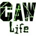 CaW Life (@thecawlife) Twitter profile photo CaW Life (@thecawlife) Twitter profile photo