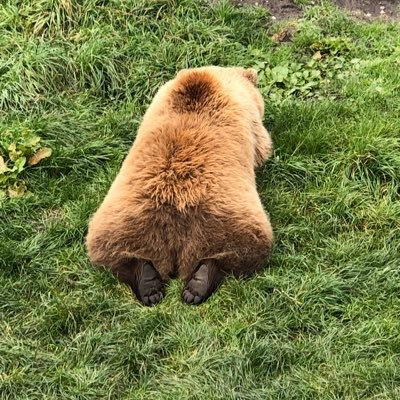 Bialowons's profile picture. Die Welt ist bunt und es lohnt sich immer genauer hinzusehen 🧚‍♀️