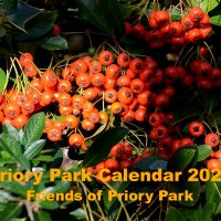 Friends of Priory Park (@prioryparkn8) 's Twitter Profile