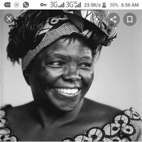 Wangari Maathai (@wangarimaathai7) 's Twitter Profile