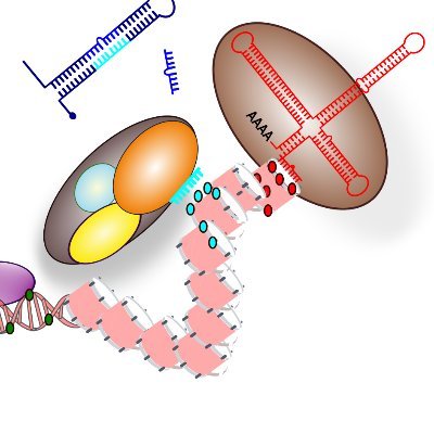 Papers, books and news focused on epigenetics, RNA world, gene regulation and evolution. Administrated by @vaschetto_luis