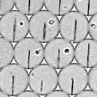 FIRA - Eyer Group - Aarhus University (@eyerfira) 's Twitter Profile Photo FIRA - Eyer Group - Aarhus University (@eyerfira) 's Twitter Profile Photo