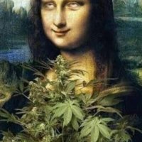 Maconheiros de plantão (@maconheirodepl1) 's Twitter Profile