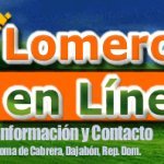 LOMEROS EN LINEA (@lomerosenlinea) 's Twitter Profile
