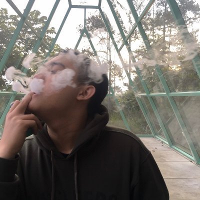 Ryantoadna's profile picture. 