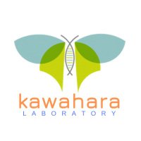 Kawahara Lab(@KawaharaLab) 's Twitter Profile Photo