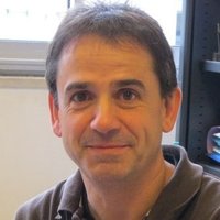 Cuevas Fermin (@cuevasfermin1) 's Twitter Profile