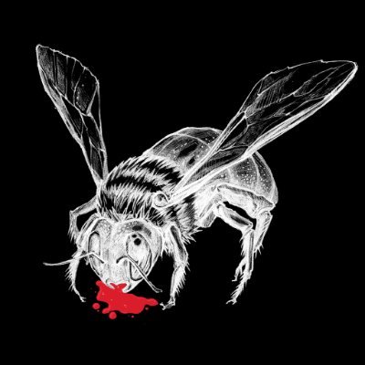 CGradeCanvas's profile picture. I produce videos related to true crime cases, crime in sports, organised crime and other creepy facets of humanity. Channel Below \/