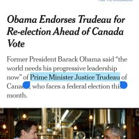 Typos of the New York Times