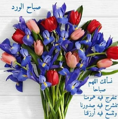 nXY3KeEdvc7EaYs's profile picture. ‏‏محامي ومستشار قانوني