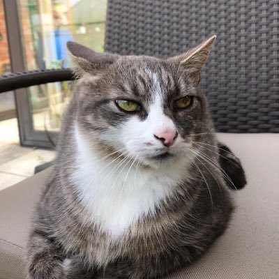 WouterBardyn's profile picture. 