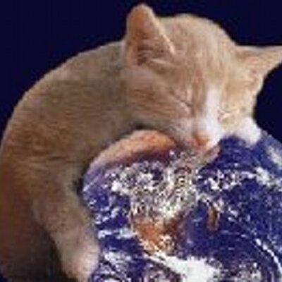 泉 真琴 にゃるほど ちなみに ありがとうの対義語を 大きなお世話 と思ったわらひはひねくれ者
