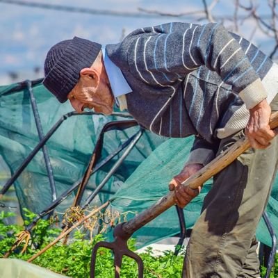 Fadi58139288's profile picture. 