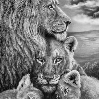 Citation Lion Lioncitation Twitter
