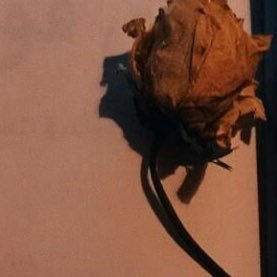 hil15789164's profile picture. ‏Never forget who ignored you when u needed them and who helped u before u even had to ask.