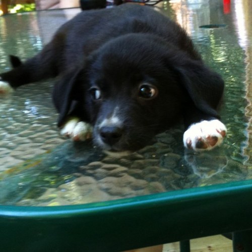 casper0039's profile picture. 