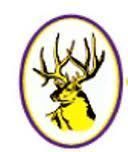 Elks_Guidance's profile picture. Check us out for updates on all Elkhorn High School guidance activities: College visits, scholarship deadlines, ACT info, etc...