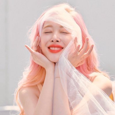 GOBLIN/sulli🥺 (@wheeinie_woo) | Twitter
