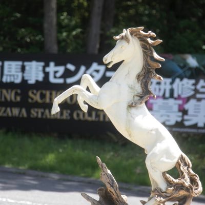 乗馬未経験でもたった６ヶ月で競走馬の世界で働ける、滋賀県甲賀市にある競走馬騎乗員を育てる馬の学校です🏇現地説明、体験入学随時募集中。湖南馬事センターのサイト https://t.co/PKl6EM3phj吉澤ステーブルの紹介はこちらhttps://t.co/kR3uUf2daF  #引退競走馬の余生