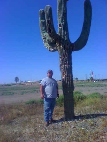 tazmantim73's profile picture. 