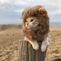 Nyolong Sendal.com (@nyolongc) 's Twitter Profile
