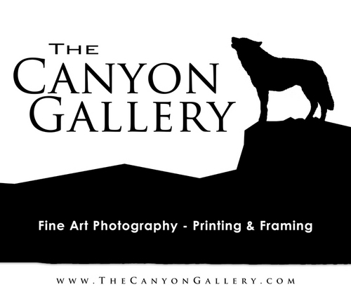 The Canyon Gallery features:
Fine-Art Photography
Wide-Format Printing Services
Please feel free to come in, call, or click today!