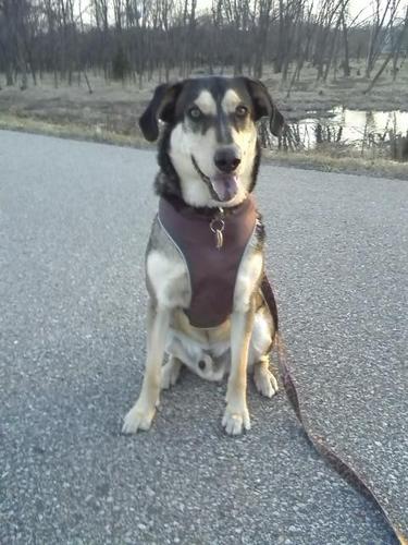 feedjakepetmart's profile picture. We believe that pets are a very important part of our lives. We strive to provide our customers with quality pet supplies, great prices, & service with a smile!