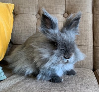 FrauDammschnitt's profile picture. Ein Dammschnitt (Episiotomie, auch Scheidendammschnitt) ist das Einschneiden des Dammes in Richtung After der Frau oder anderer weiblicher Saugetiere...