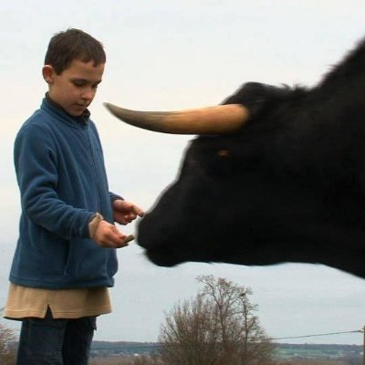 Trozo de sol, agua, y poco más. Mi ser supremo y omnipotente eres tú. Abridor de jaulas. Esforzarnos por erradicar el maltrato animal es trabajar en las raíces.