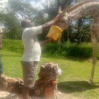 victor mawire (@victormawire1) Twitter profile photo