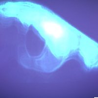 VideoWhisper.com 👁🗨💻 (@videowhisper) 's Twitter Profile Photo VideoWhisper.com 👁🗨💻 (@videowhisper) 's Twitter Profile Photo