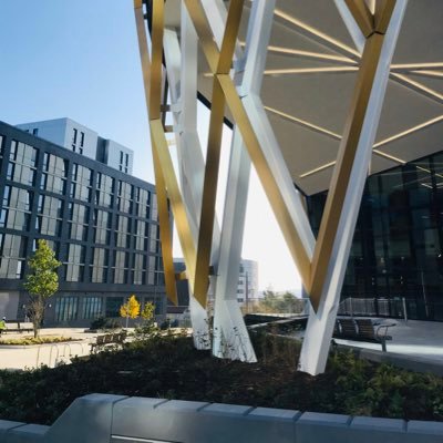 JDawesNICA's profile picture. Programme Manager at the National Innovation Centre for Ageing @InnovAgeUK