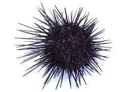 uni24076320's profile picture. ！？