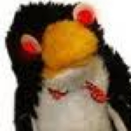 fl1bbl3's profile picture. 