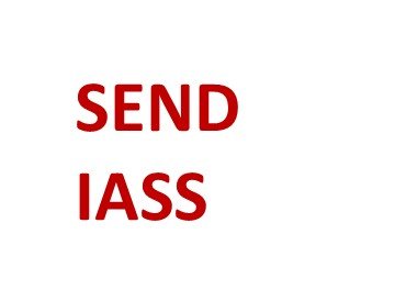 Impartial information, advice and support to children and young people with special educational needs/disabilities and their families