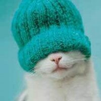 Paul Haslehurst (@pukka_paul) 's Twitter Profile