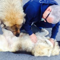 Luca Mannarino (@mannarino_luca) 's Twitter Profile