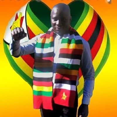 I'm a politician by nature and I love my party ZANU PF