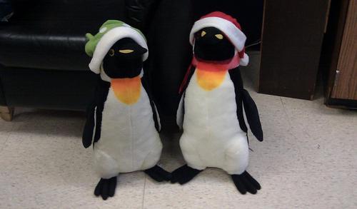 5882353's profile picture. @77red when the benefits of public tweets outweigh their creepiness (rarely)