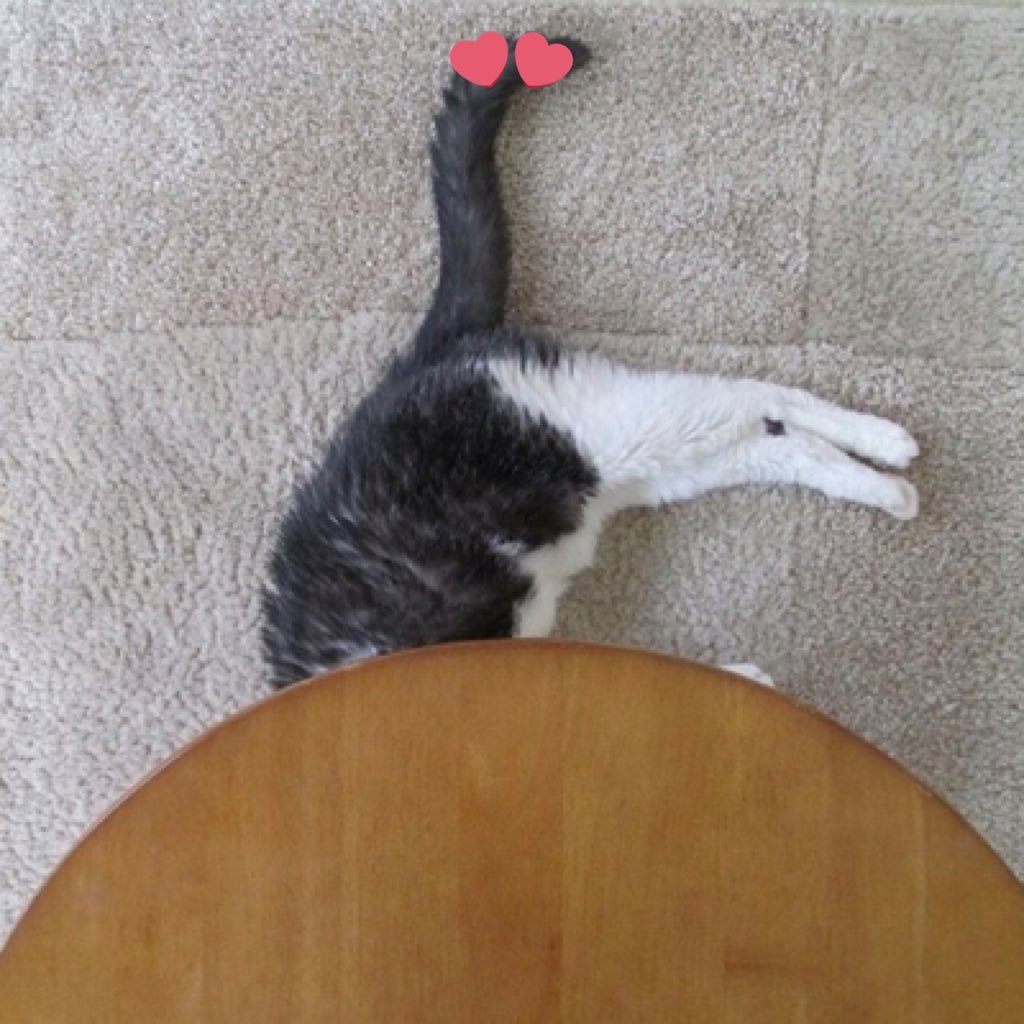 椿さんのプロフィール画像