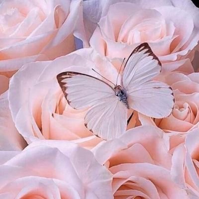 🌸 Prothésiste Ongulaire Certifié 🌸
. 𝔒𝔫 𝔉𝔩𝔢𝔢𝔨 𝔧𝔲𝔰𝔮𝔲’𝔞𝔲𝔵 𝔟𝔬𝔲𝔱 𝔡𝔢𝔰 𝔬𝔫𝔤𝔩𝔢𝔰. ✨