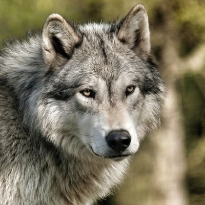 La politica es acercarse más a la gente, buscar ser solidarios con los que menos tienen, generar información que coadyube a dar soluciones importantes.