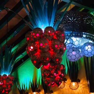 cachorro_babe's profile picture. 