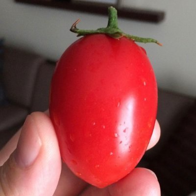 BSGnLife's profile picture. Empathy. Sympathy. Being happy and enjoying a beer here and there. Traveler and lover of people and new foods.