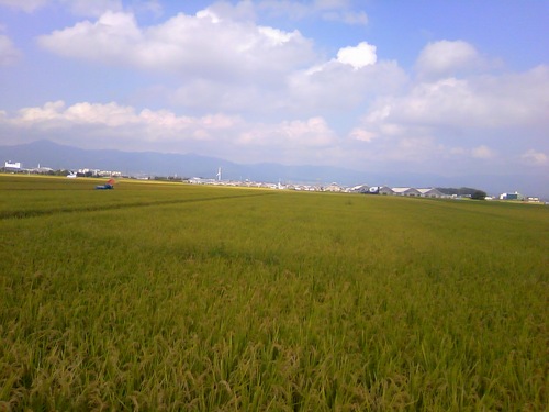 滋賀県守山市の司法書士です。 事務所：守山市守山3-24-30-205 守山合同事務所 電話077-581-4774