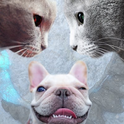 @monsterstdk
