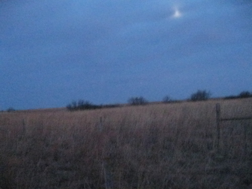 Mrzookeeper's profile picture. 